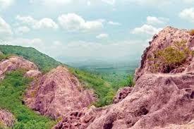 Ironwood Forest