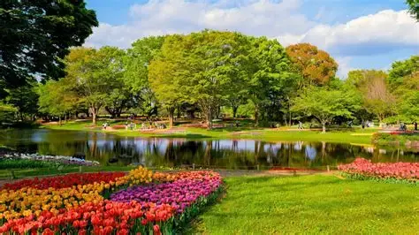 Island Charm Express (6 days)