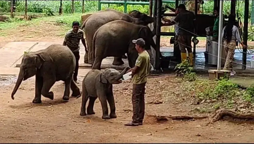 Delft Tours Gallery Image 5