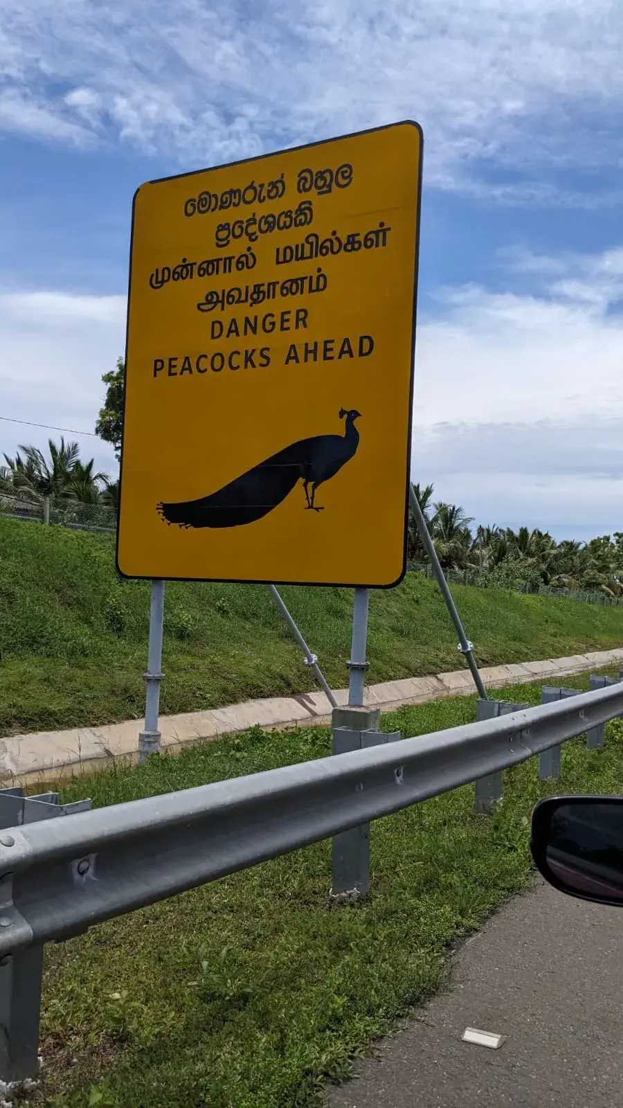 Delft Tours Gallery Image 6