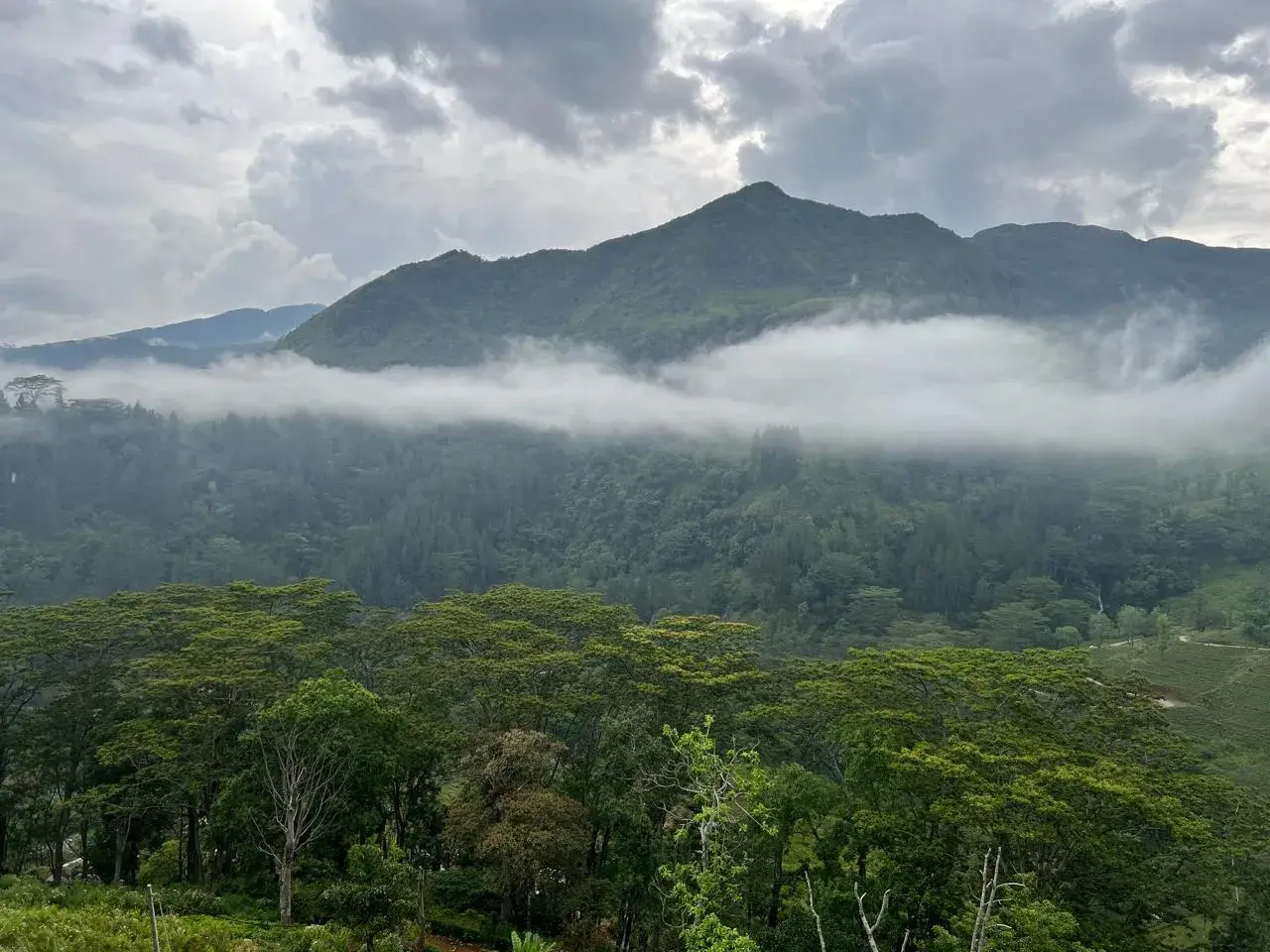 Delft Tours Gallery Image 7