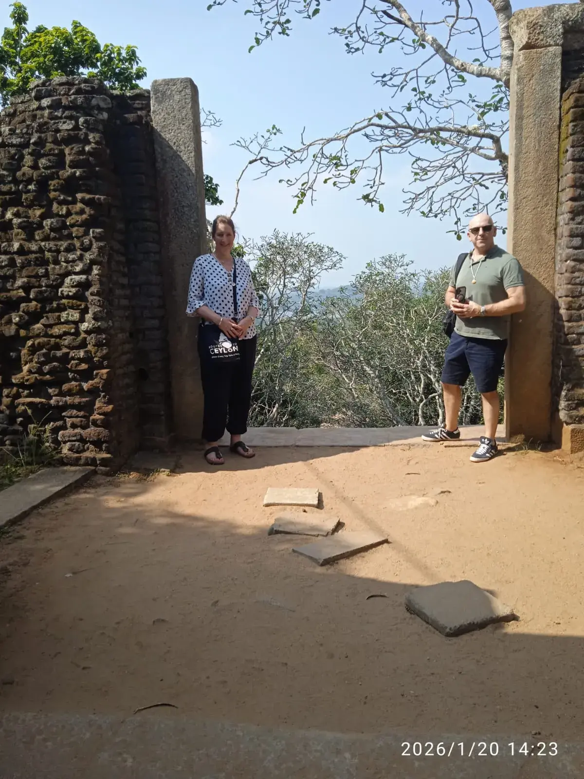 Delft Tours Gallery Image 10