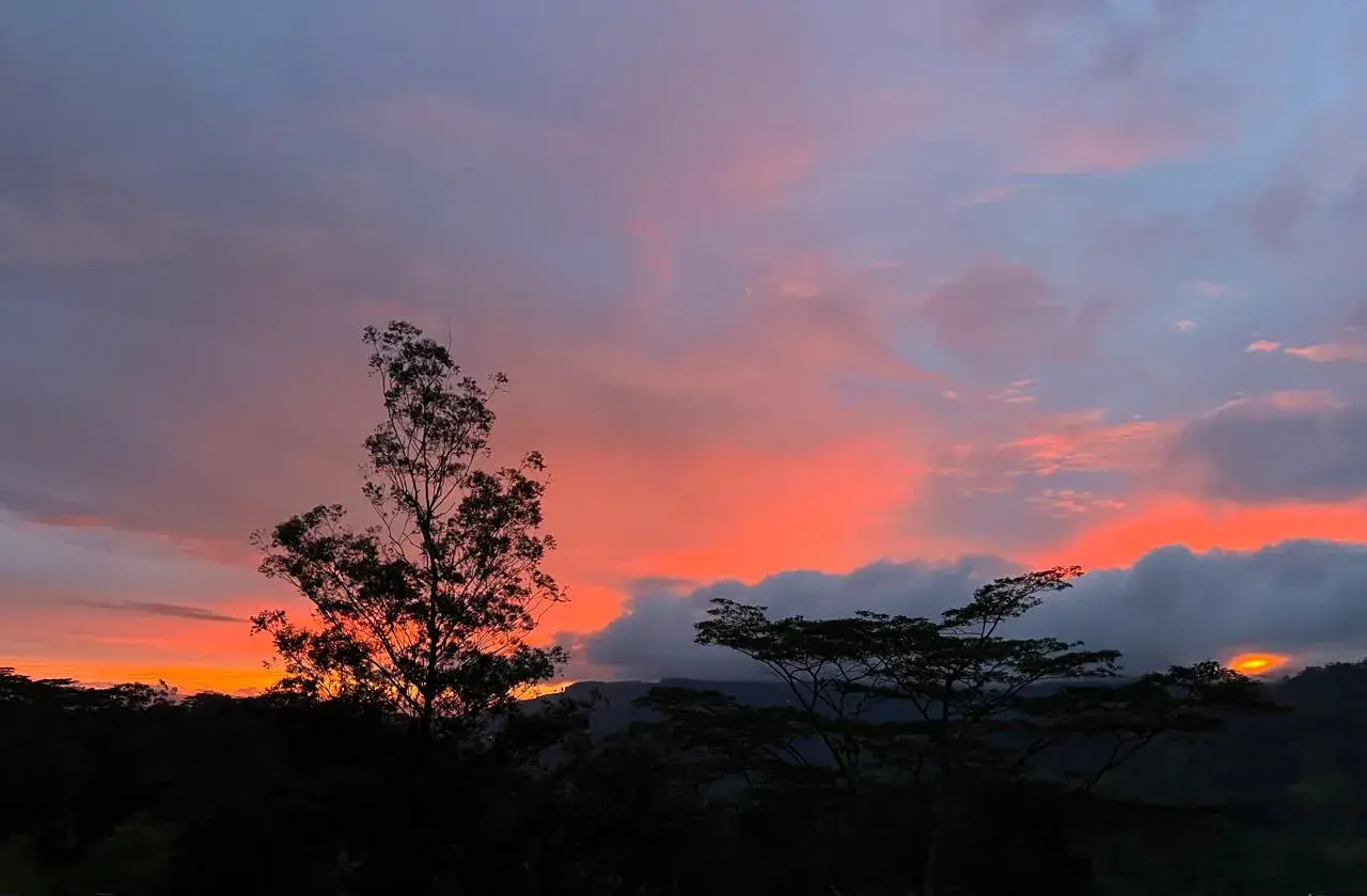 Delft Tours Gallery Image 11