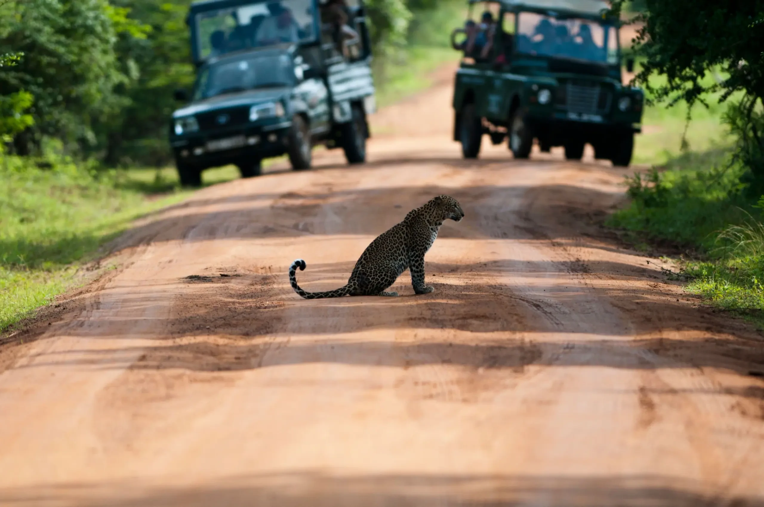 Temples, Wildlife and Beach (6 days) Image 1